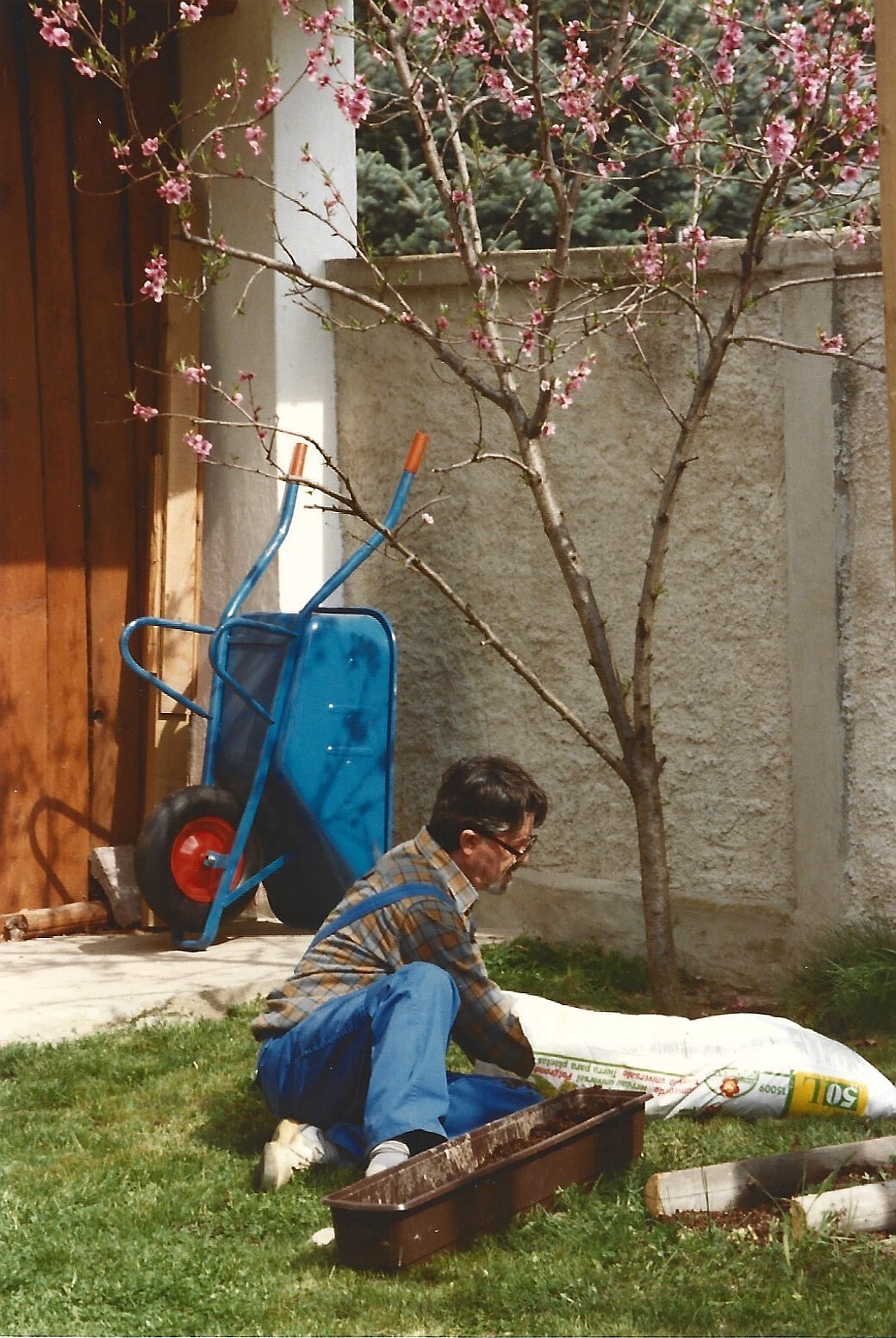 00203F.jpg